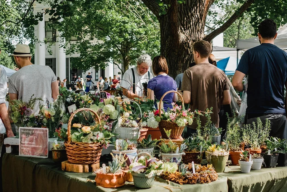 People browse potted plants, flowers, and succulents displayed on a table at an outdoor market—one of the many charming things to do in Toms River NJ. Trees provide shade, and other market stalls and visitors are visible in the background.